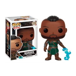 POP!  Elder Scroll III - Warden