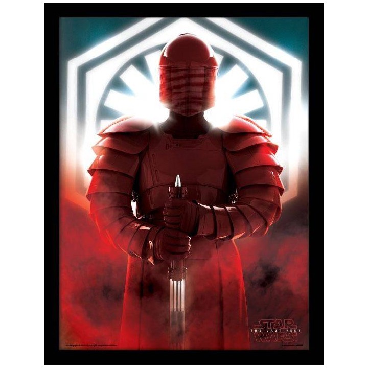 Star Wars Cuadro "Elite Guard" 45X33 cm