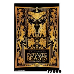 Fantastic Beast & Where to find Them Book Cover Poster 91,5X61cm