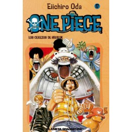 One Piece 17