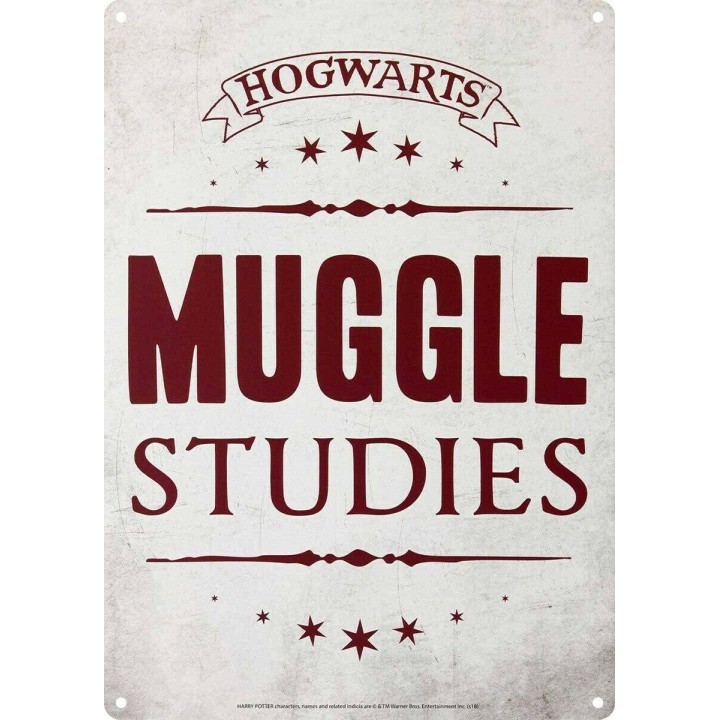 Harry Potter Placa Metálica Hogwarts Muggle Studies 21x15 cm