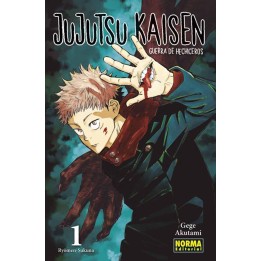 Manga Jujutsu Kaisen 01
