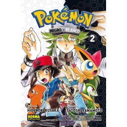 Pokemon 27 Blanco y Negro 2
