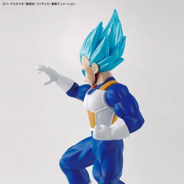 EG Dragon Ball Super Super Saiyan God Super Saiyan Vegeta