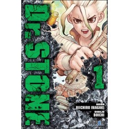 Dr. Stone 01