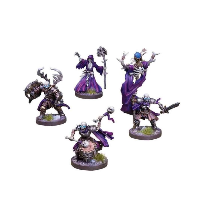 Runewars Grupo de Mando de Infanteria de Waiqar