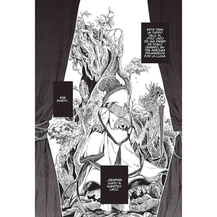 The Ancient Magus Bride 01