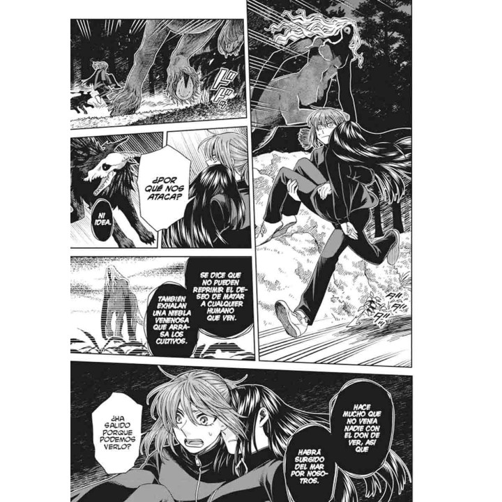 The Ancient Magus Bride 13
