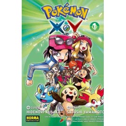 Pokemon X Y 01