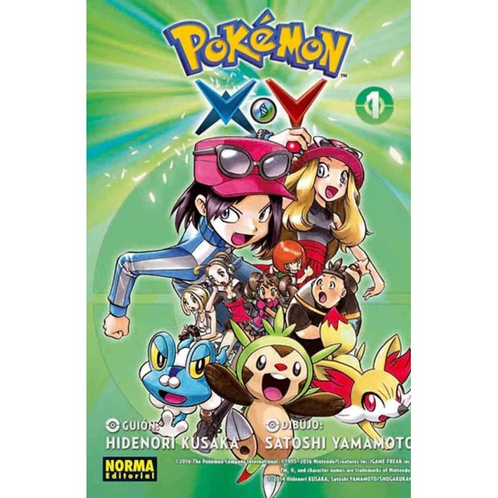 Pokemon X Y 01