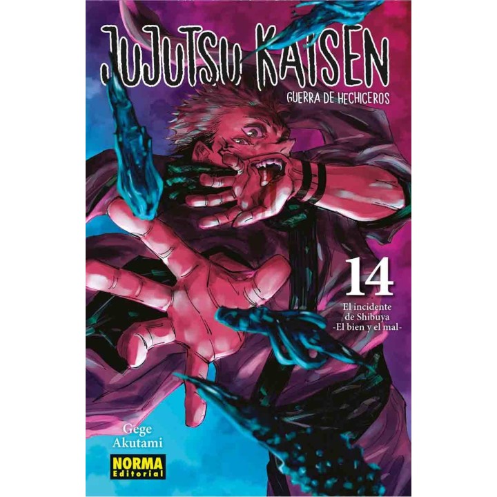Manga Jujutsu Kaisen 14