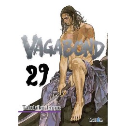 Manga Vagabond 29