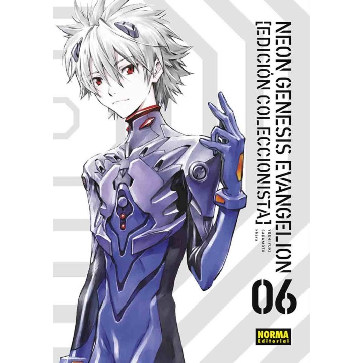 Manga Neon Génesis Evangelion 06 de 07 Edición Coleccionista