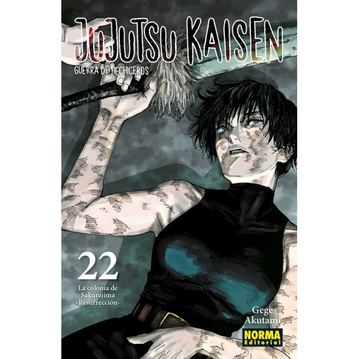 Manga Jujutsu Kaisen 22
