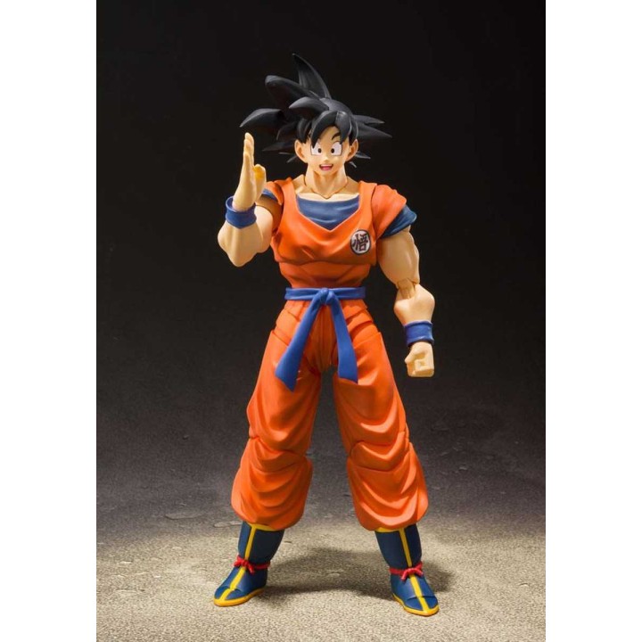 Son Goku a Saiyan raised on Earth Dragon Ball Z SHFiguarts