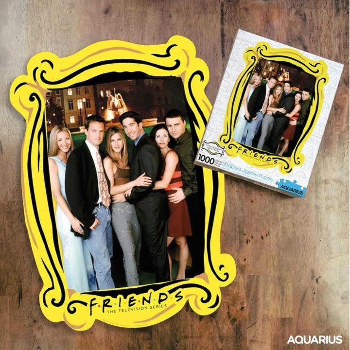 Friends Puzzle Fuente Silueta 1000 Piezas