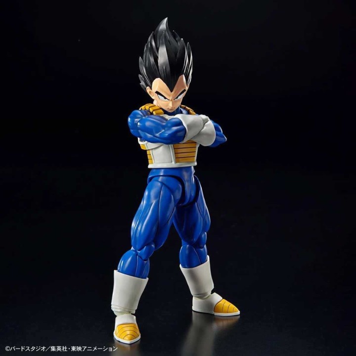 Vegeta New Spec Ver. Dragon Ball Z Figure-rise Standard