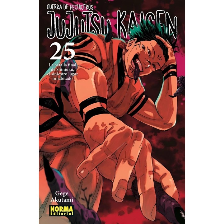 Manga Jujutsu Kaisen 25