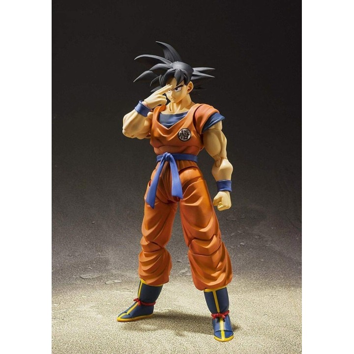 Son Goku a Saiyan raised on Earth Dragon Ball Z SHFiguarts
