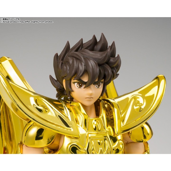 Sagittarius Seiya Inheritor of the Gold Cloth Saint Seiya Saint Cloth Myth Ex