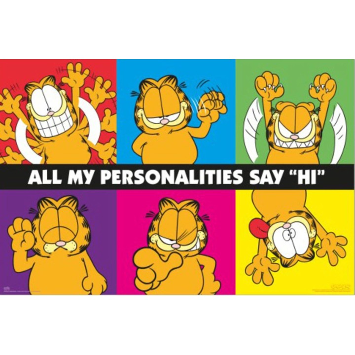Garfield Póster 25 (60x91,5 cm)