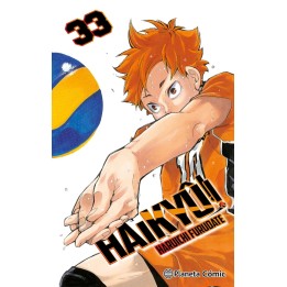 Haikyu 33 de 45