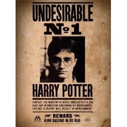 Poster de Vidrio El Indeseable Nº1 Harry Potter