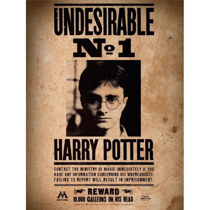 Poster de Vidrio El Indeseable Nº1 Harry Potter