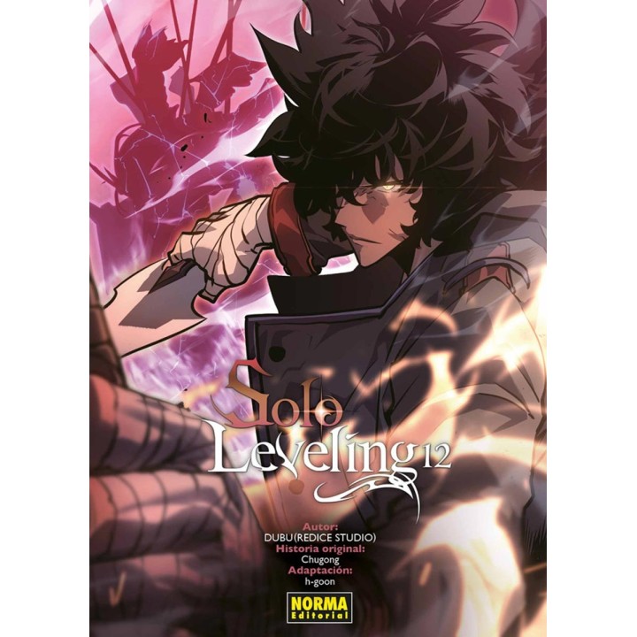 Solo Leveling 12