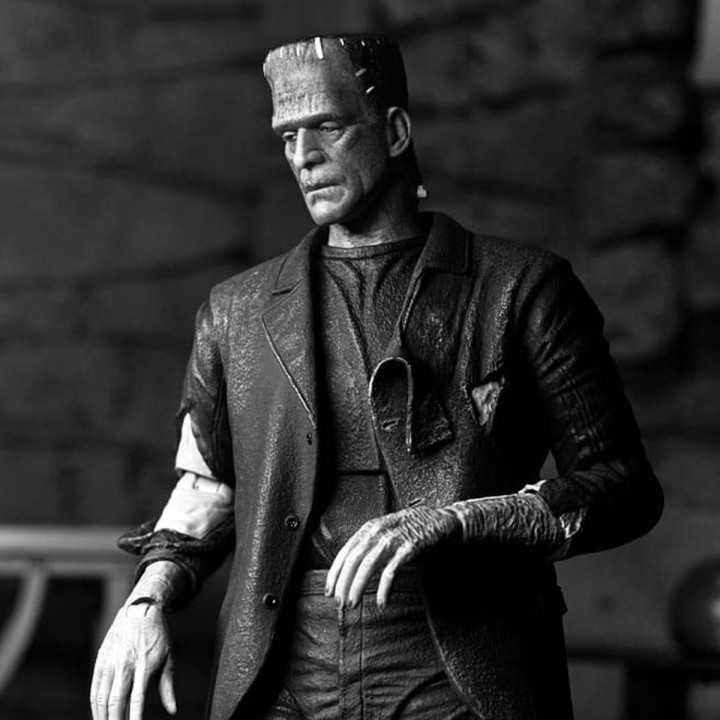 Frankensteins Monster Universal Monsters Ultimate NECA