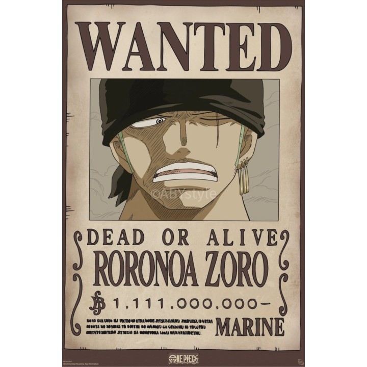 Zoro Se Busca Póster (91.5 x 61 cm)