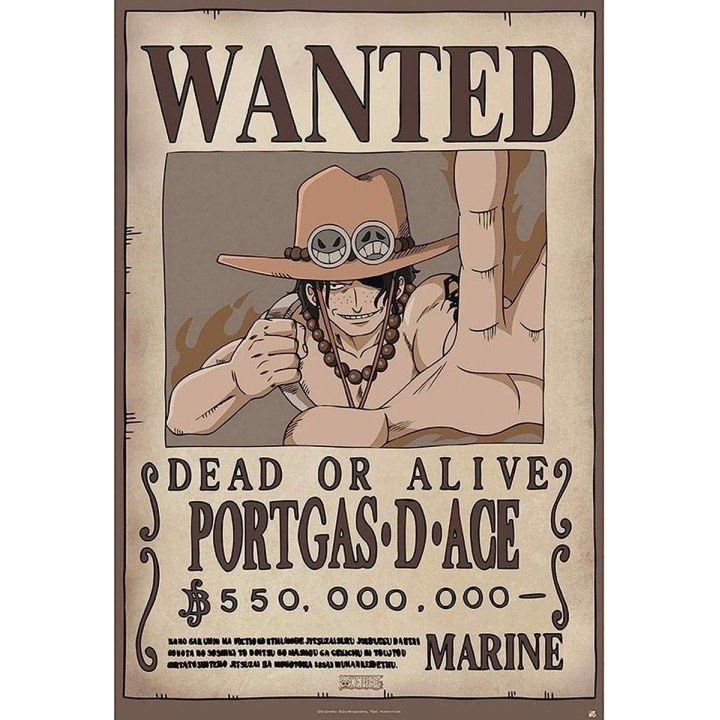 Portgas D Ace Se Busca Poster (91.5 x 61 cm)