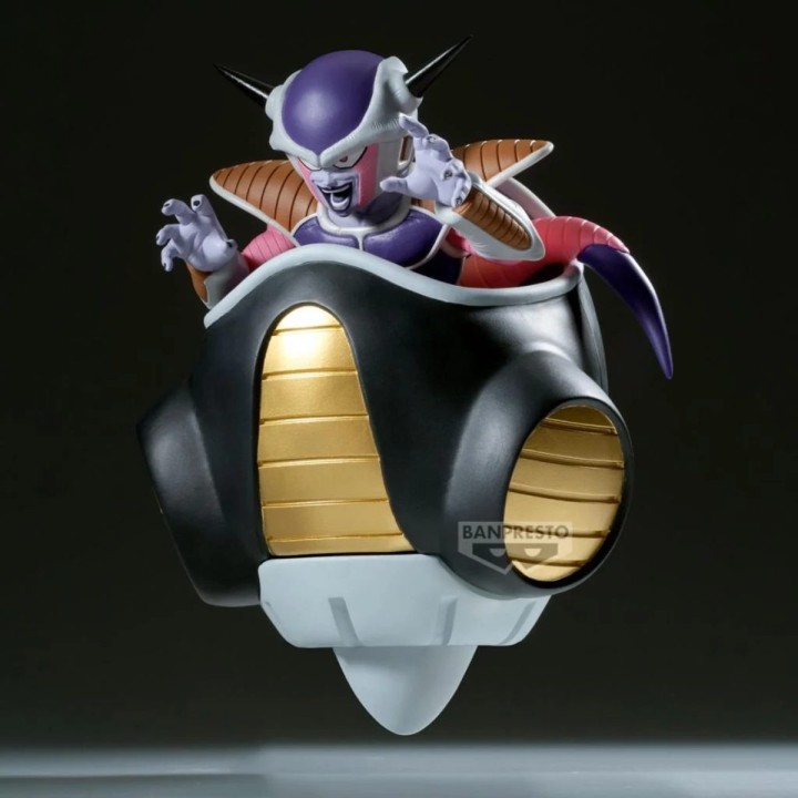 Freezer DBZ Match Makers