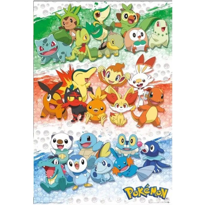 Poster First Partners Pokemon (91.5x61)