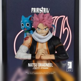 Natsu Dragneel Neon Fairy Tail