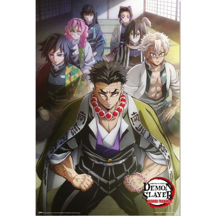 Poster 43 Hashira Training 01