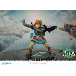 Link The Legend of Zelda Tears of the Kingdom