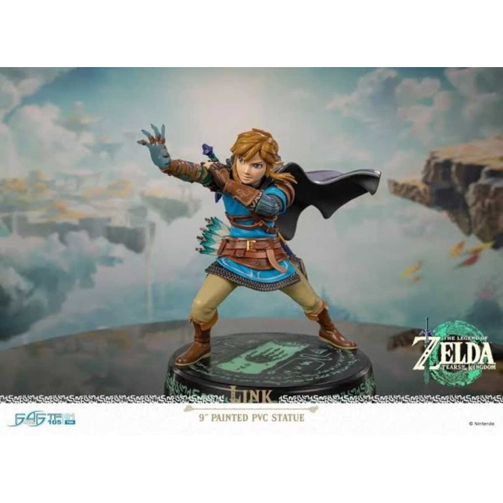 Link The Legend of Zelda Tears of the Kingdom