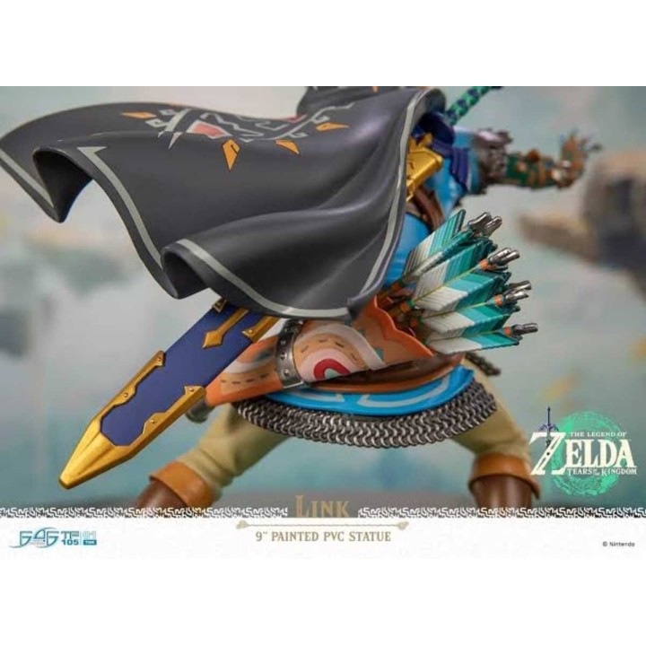 Link The Legend of Zelda Tears of the Kingdom