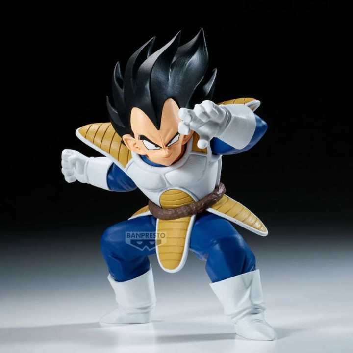 Vegeta Dragon Ball Z Match Makers