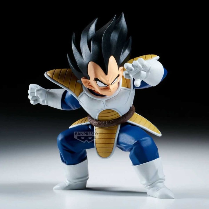 Vegeta Dragon Ball Z Match Makers