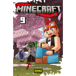 Minecraft 09