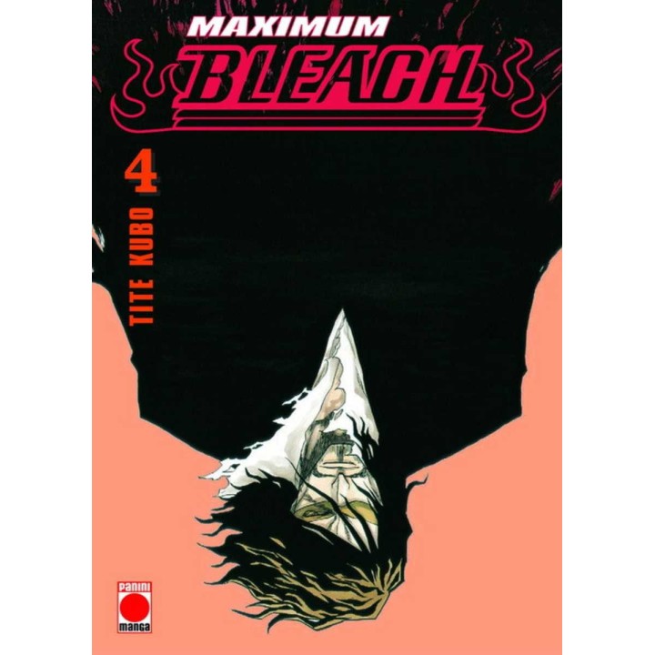 Bleach Maximum 04